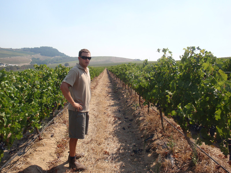 Charles in the vineyard
