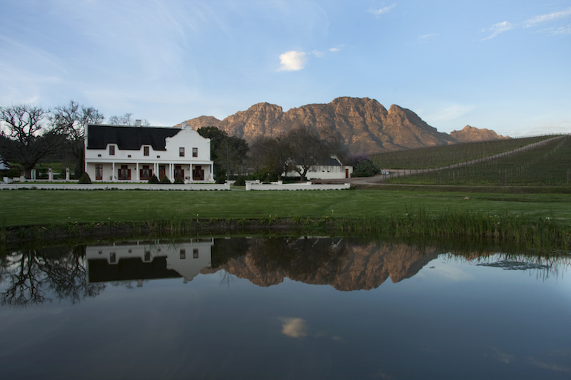 Glenelly Estate with mountain backdrop