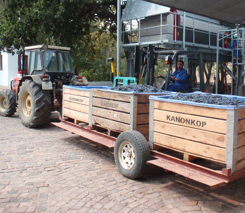 Kanonkop Grape Bin