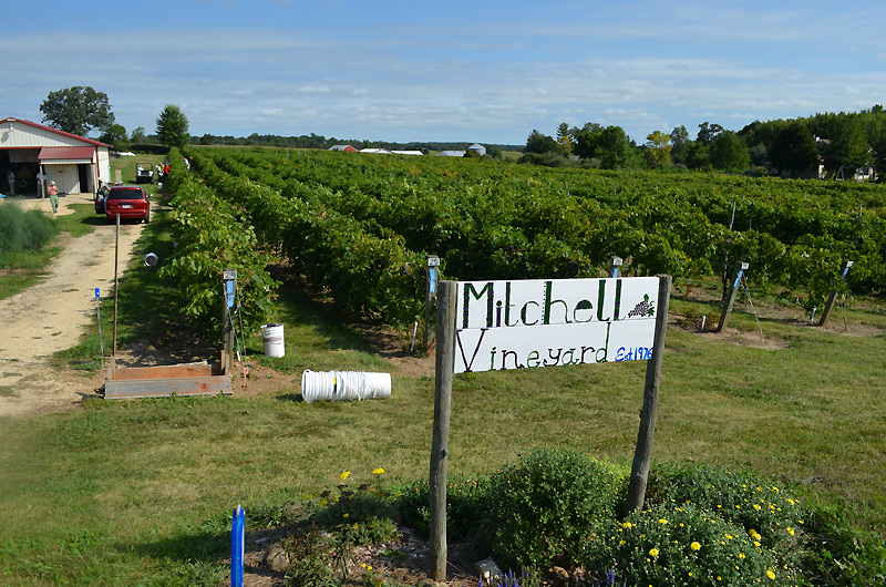 mitchellsign