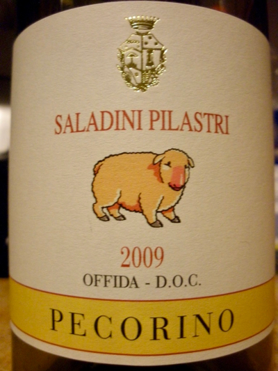 Pecorino wine from Offida in Marche